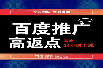 某电商平台的SEM广告投放策略及效果评估